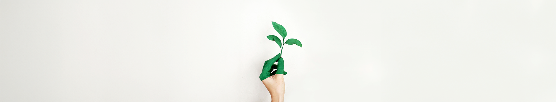 Funding the future: How tax-advantaged investment schemes are transforming British businesses