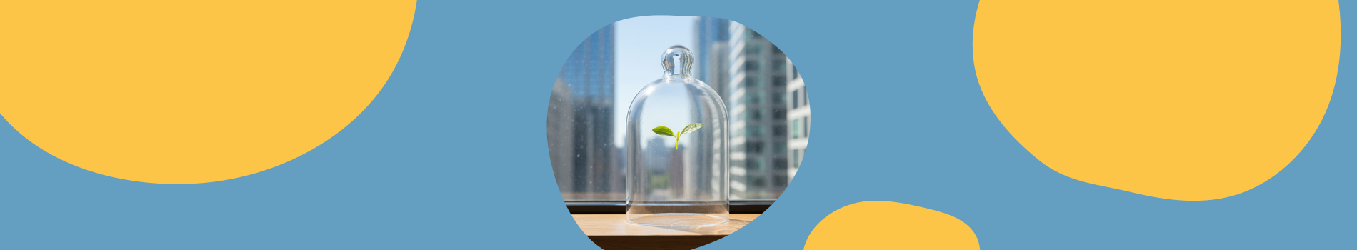 Budget 2026: what it means for EIS and SEIS investors