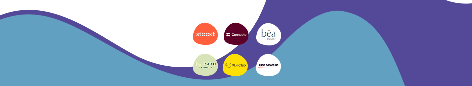 Carry Back EIS Fund I: our portfolio companies